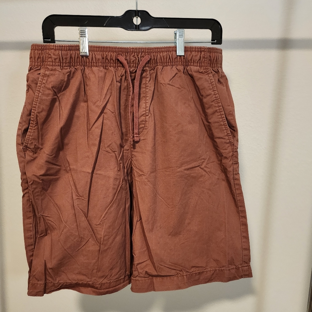 Gap M Men's Casual Brown Shorts